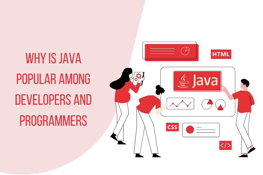 Why is Java popular among developers and programmers? Why is Java popular among developers and programmers?